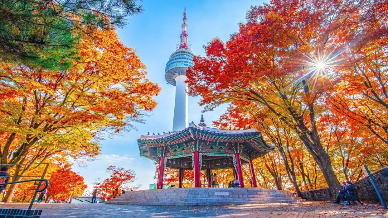 A Trip to Seoul: The First-Timer's Guide to Visas, Budget, and the Itinerary Everyone Pays For 1 trip to seoul
